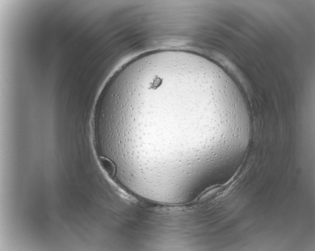 X0000073841432200608311923