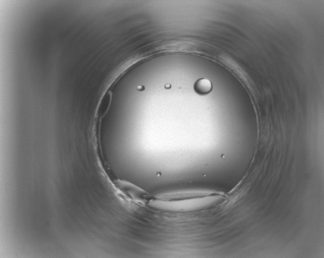 X0000073841434200608311923