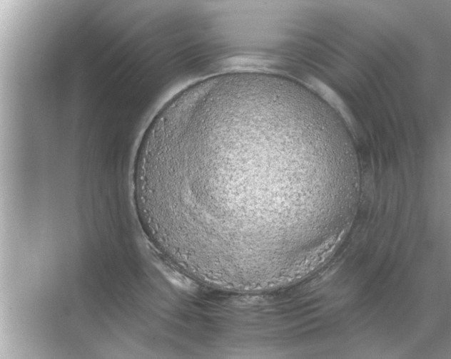 X0000073841435200608311923