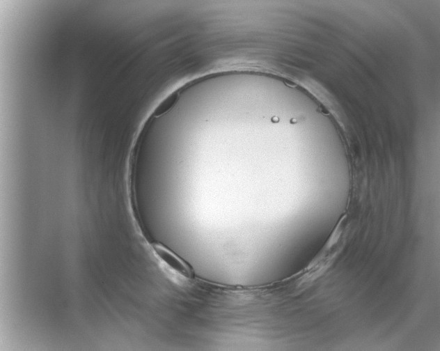 X0000073841438200608311923