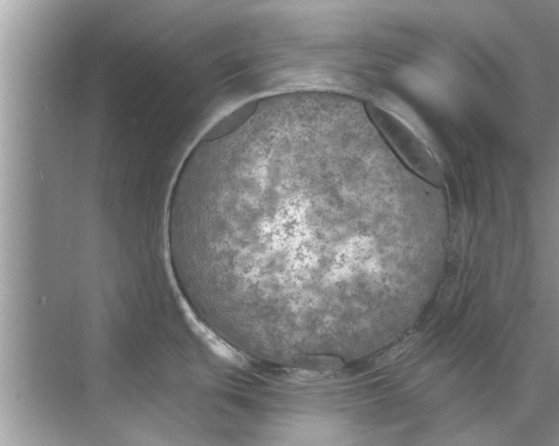 X0000073841439200608311923