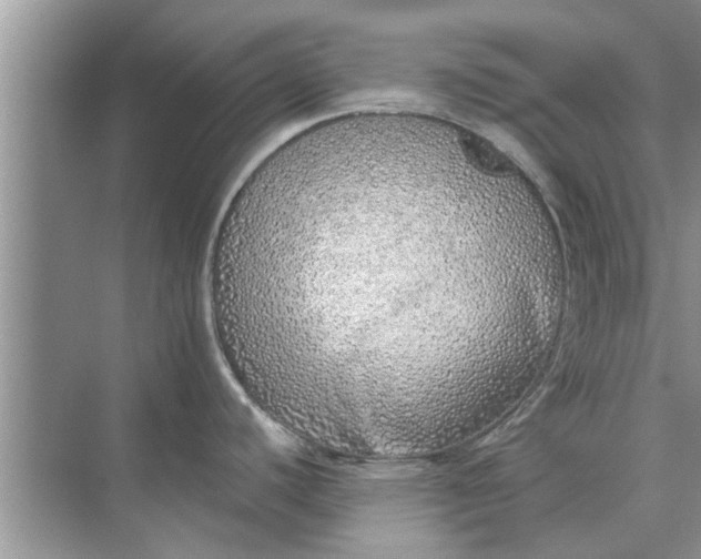 X0000073841440200608311923