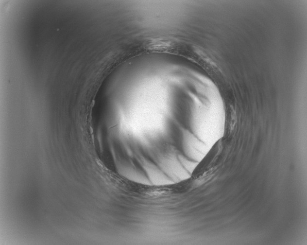 X0000073841441200608311922