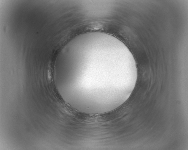 X0000073841442200608311922