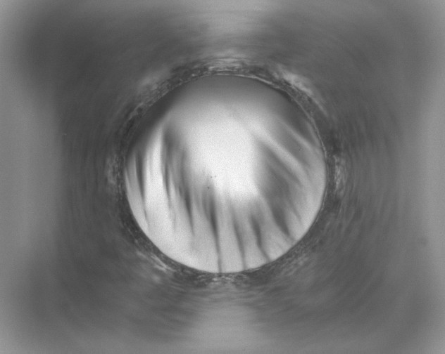 X0000073841445200608311922