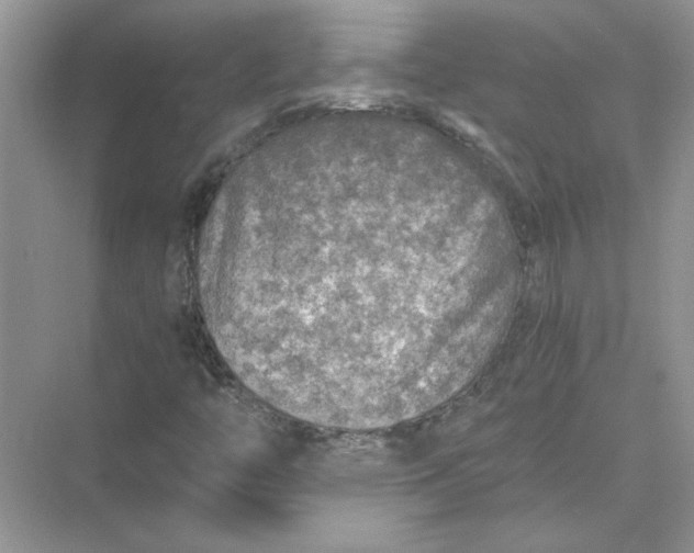 X0000073841446200608311922