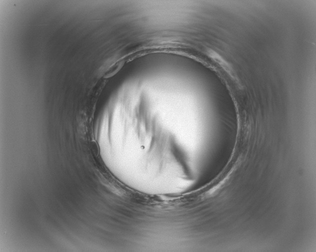 X0000073841449200608311922