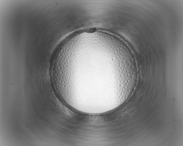 X0000073841452200608311922