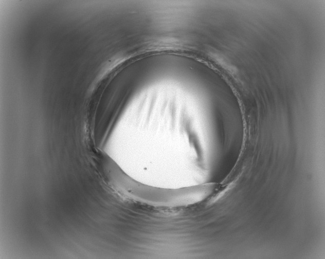 X0000073841453200608311922