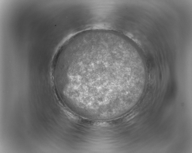 X0000073841454200608311922