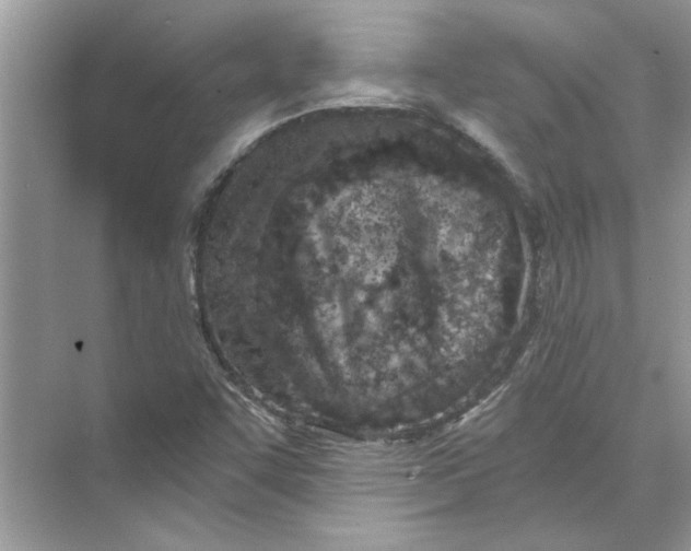 X0000073841455200608311922