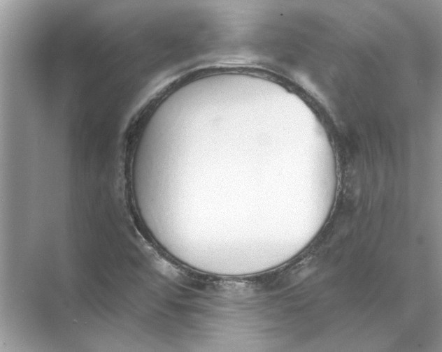 X0000073841456200608311922