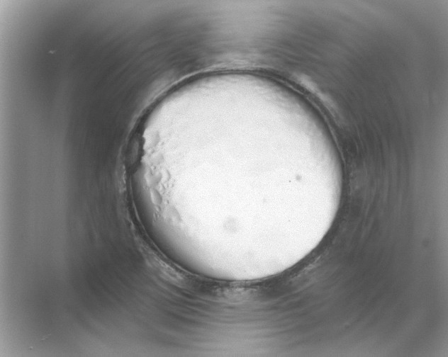 X0000073841459200608311922