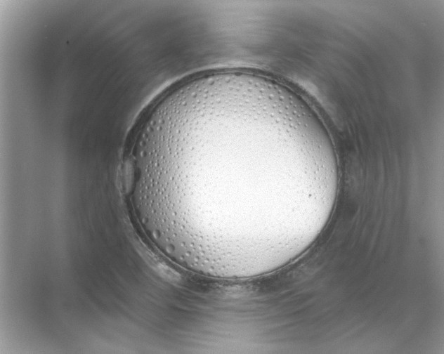 X0000073841460200608311922