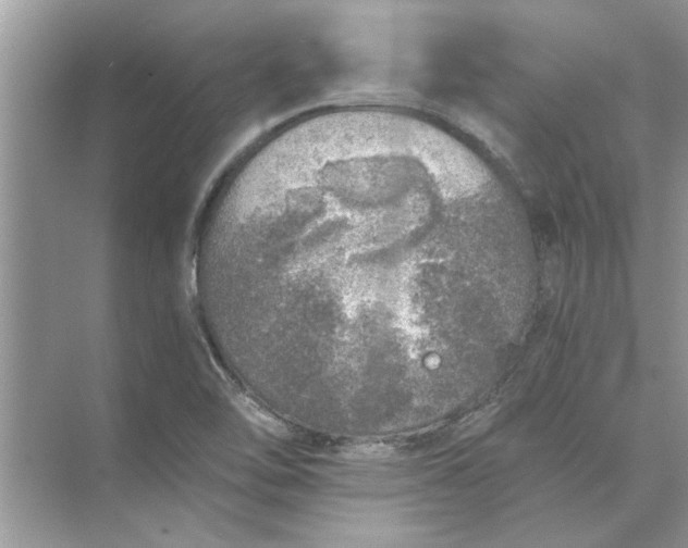 X0000073841462200608311922