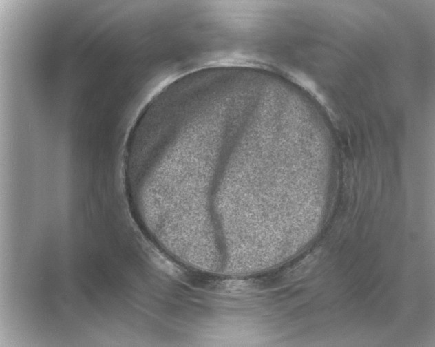 X0000073841463200608311922