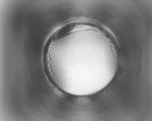 X0000073841464200608311922