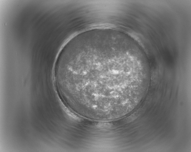 X0000073841466200608311922