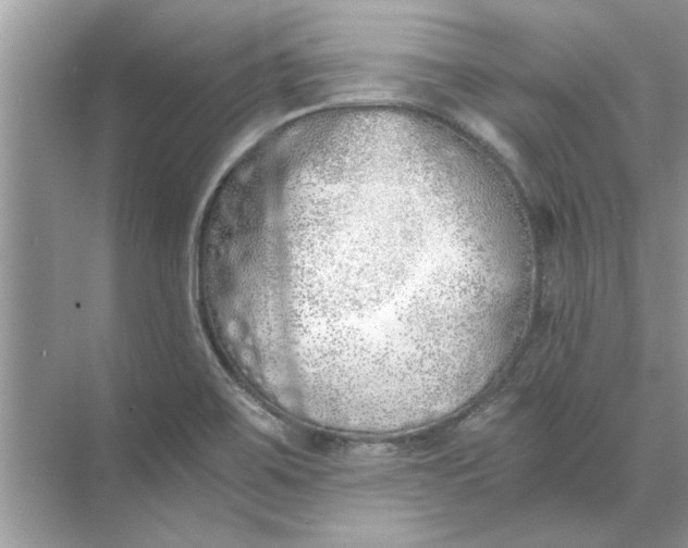 X0000073841467200608311922