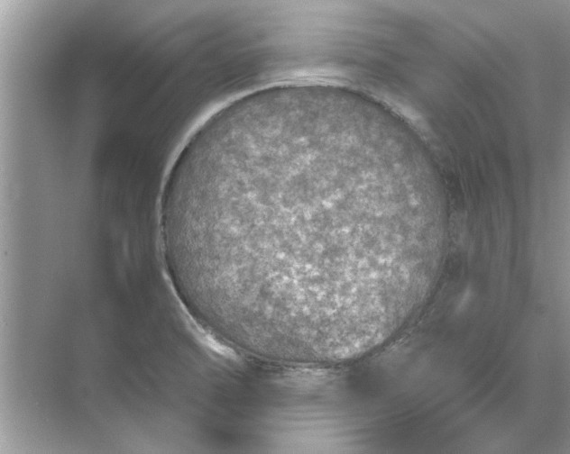 X0000073841470200608311922