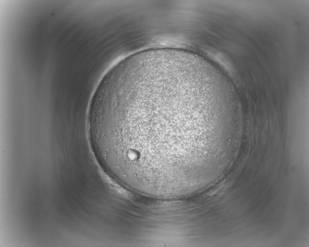 X0000073841471200608311922