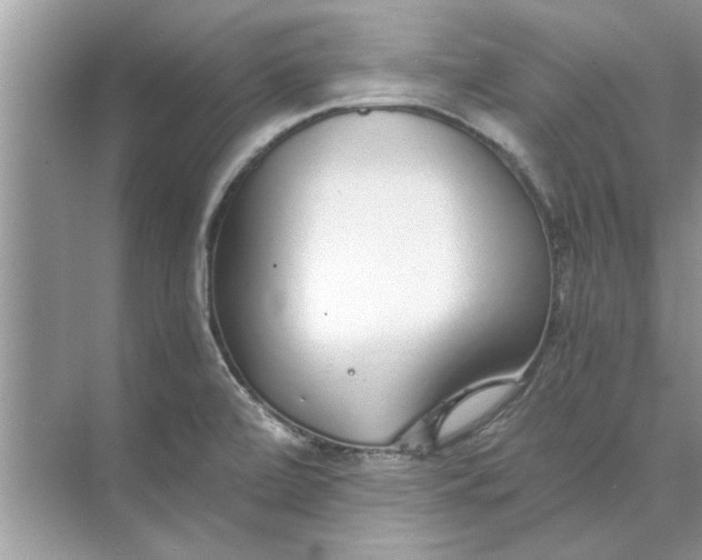 X0000073841472200608311922