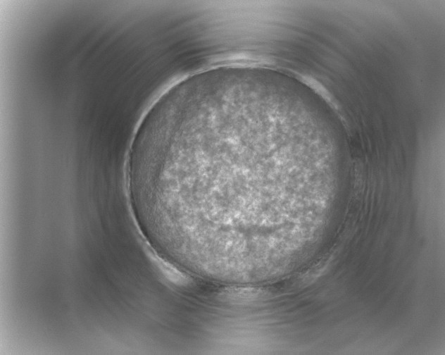 X0000073841474200608311922