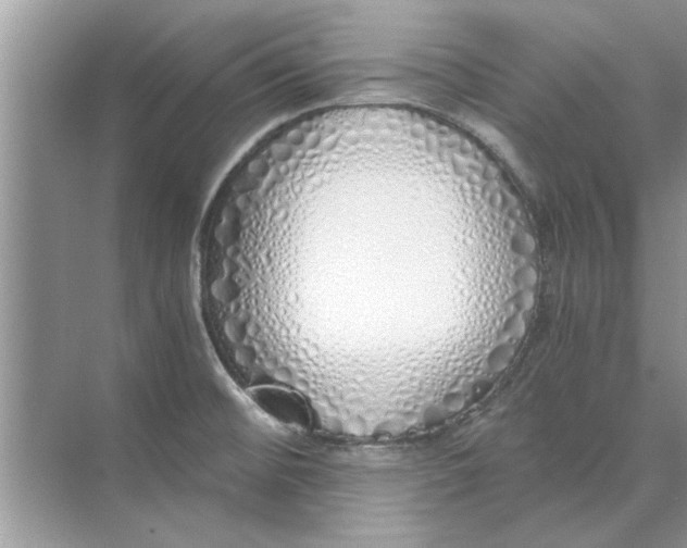 X0000073841476200608311922