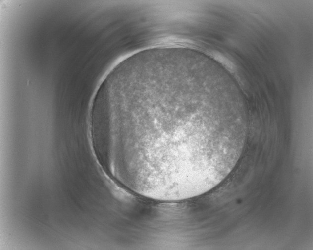 X0000073841478200608311922