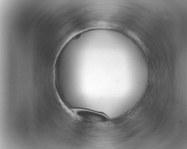 X0000073841479200608311922