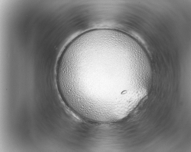 X0000073841480200608311922