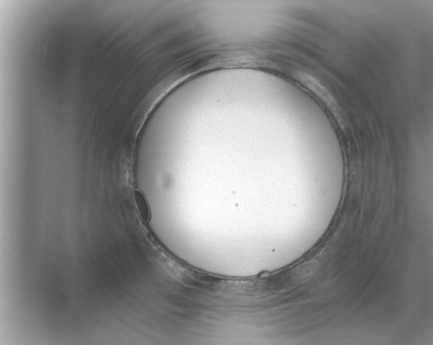 X0000073841481200608311922