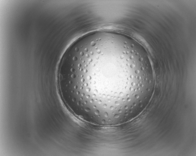 X0000073841483200608311922