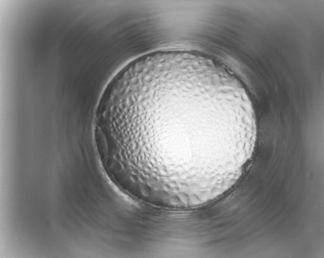 X0000073841484200608311922