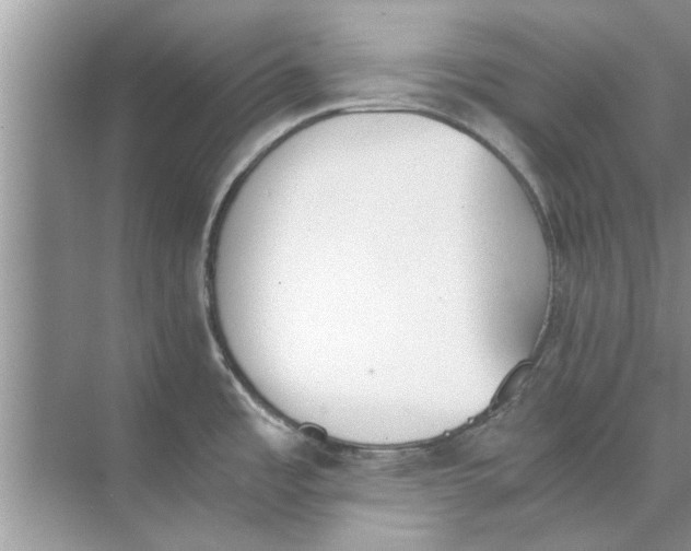 X0000073841485200608311922