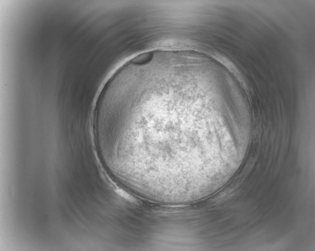 X0000073841486200608311922