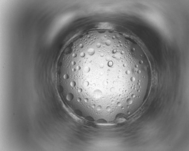 X0000073841487200608311922