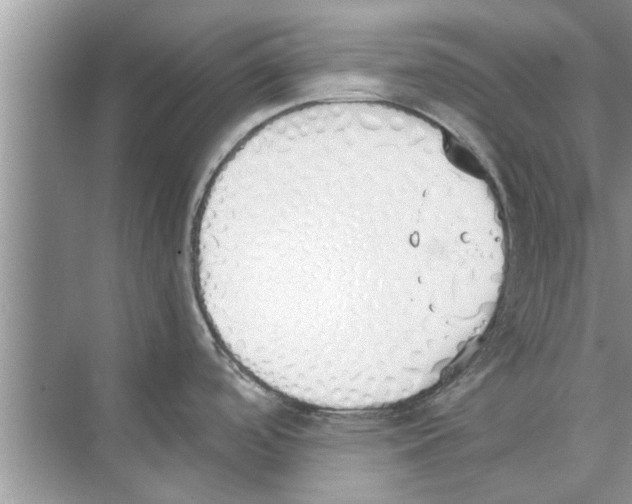 X0000073841488200608311921