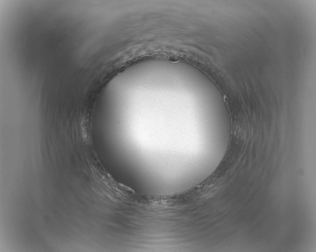 X0000073841490200608311921