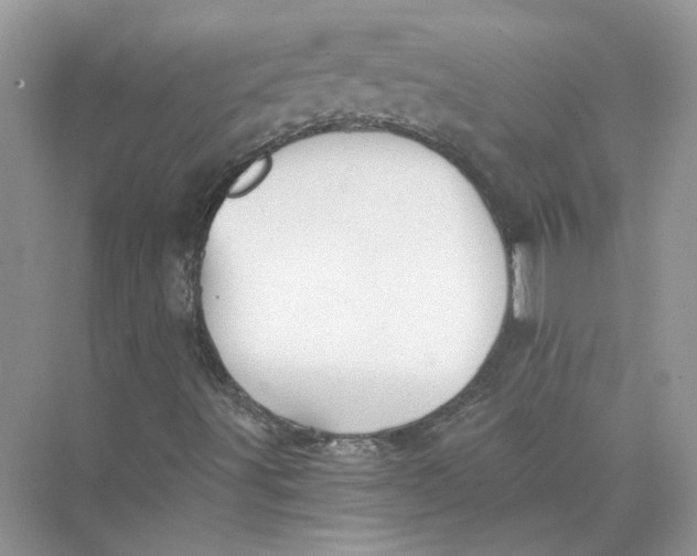 X0000073841491200608311921