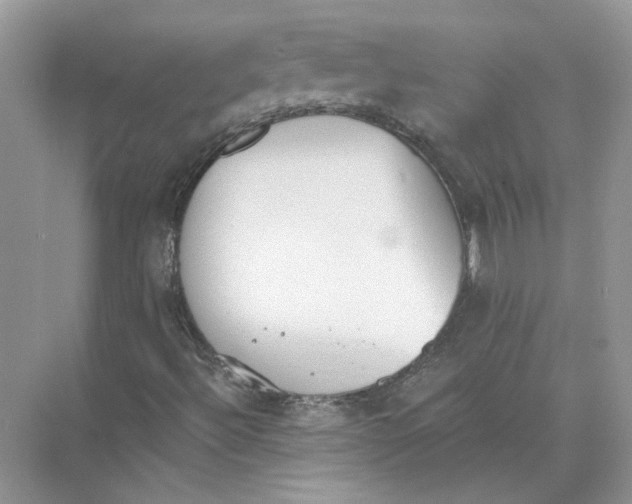 X0000073841492200608311921