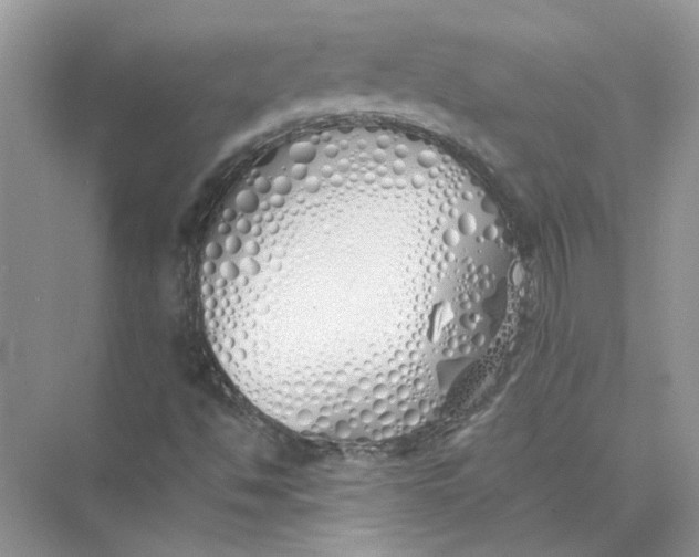 X0000073841494200608311921