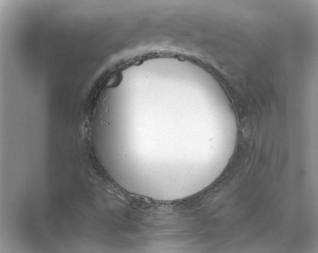 X0000073841495200608311921