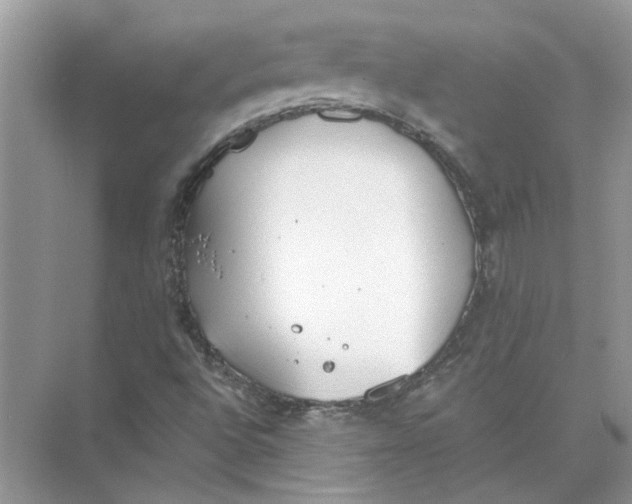 X0000073841496200608311921