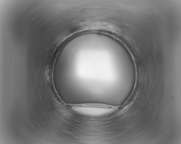 X0000073841497200608311921