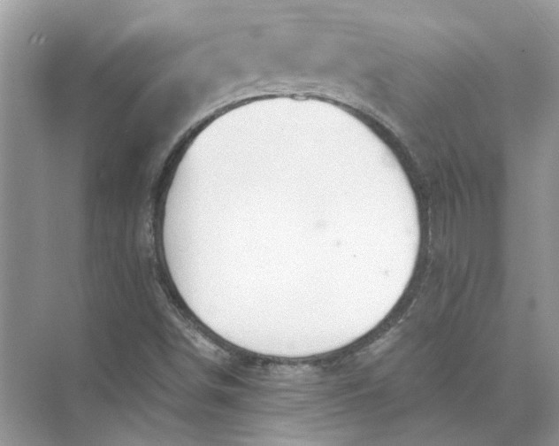 X0000073841498200608311921