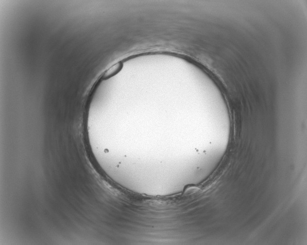 X0000073841500200608311921