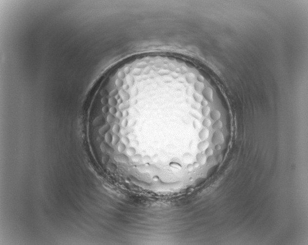 X0000073841501200608311921