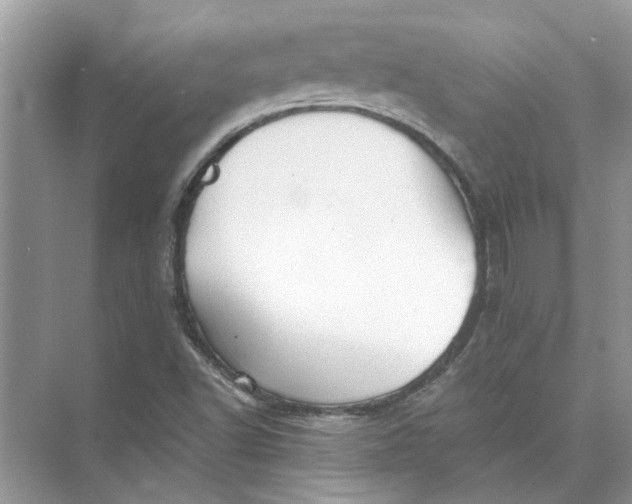 X0000073841502200608311921