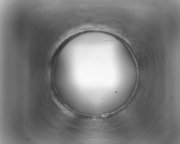 X0000073841503200608311921